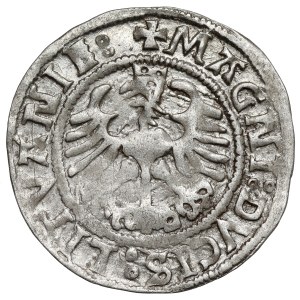 Sigismund I the Old, Vilnius 1523 half-penny - punctuated in SIGISMVNDI