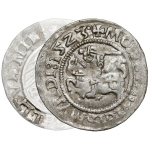 Sigismund I. der Alte, halber Pfennig Vilnius 1523 - Fehler LLTVANIE