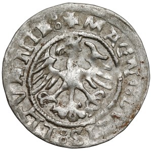 Sigismund I. der Alte, halber Pfennig Vilnius 1523 - Fehler LLTVANIE