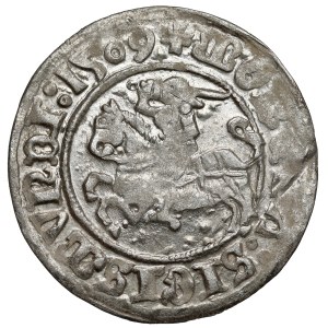 Sigismund I. der Alte, Vilniuser Halbpfennig 1509 - LITVANA-Satzzeichen