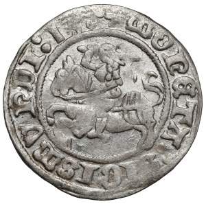 Zygmunt I Stary, Półgrosz Wilno 1513 - trzy kółka po dacie