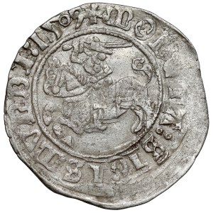 Zikmund I. Starý, půlpenny Vilnius 1509