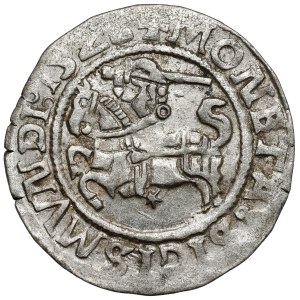 Sigismund I. der Alte, Vilniuser Halbpfennig 1523/22 - Wechsel