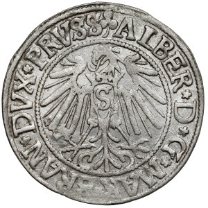 Prusy, Albrecht Hohenzollern, Grosz Królewiec 1542