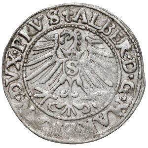 Prussia, Albrecht Hohenzollern, Grosz Königsberg 1547
