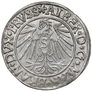 Prusy, Albrecht Hohenzollern, Grosz Królewiec 1540 - rozeta
