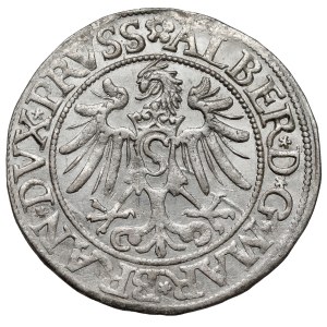 Prusko, Albrecht Hohenzollern, Grosz Königsberg 1535 - PRVSS - krásný