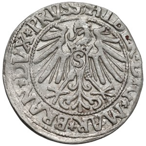 Prussia, Albrecht Hohenzollern, Grosz Königsberg 1545