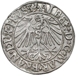 Prusko, Albrecht Hohenzollern, Grosz Königsberg 1546 - Roman