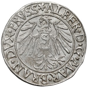 Prusy, Albrecht Hohenzollern, Grosz Królewiec 1538 - wąski ogon