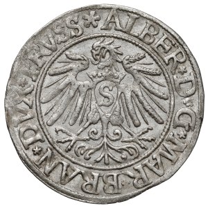 Prusy, Albrecht Hohenzollern, Grosz Królewiec 1538 - szeroki ogon