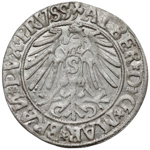 Preußen, Albrecht Hohenzollern, Grosz Königsberg 1544
