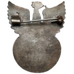 Zestaw po Edwinie Noble latającym w eskadrze im. T. Kościuszki, w czasie wojny polsko—bolszewickiej - pełny, piękny komplet