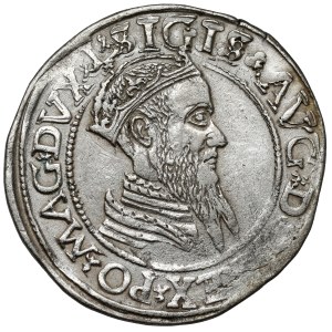 Zygmunt II August, Czworak Wilno 1566