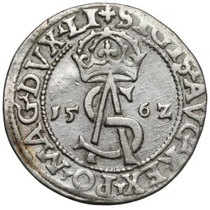 Sigismund II Augustus, Vilnius Troika 1562 - large Pogon