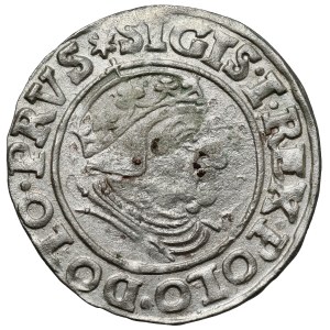 Žigmund I. Starý, Grosz Gdańsk 1538