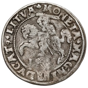 Sigismund II Augustus, Grosz per Lithuanian foot 1546, Vilnius