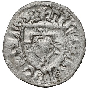 Teutonic Order, Henrik Reuss von Plauen, Shell - shield