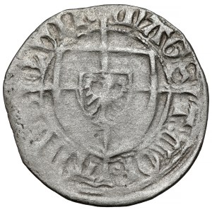 Teutonic Order, Konrad von Erlichshausen, Shelagus