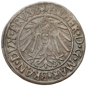Prusy, Albrecht Hohenzollern, Grosz Królewiec 1541