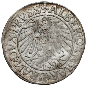 Prusy, Albrecht Hohenzollern, Grosz Królewiec 1544 - szeroka broda