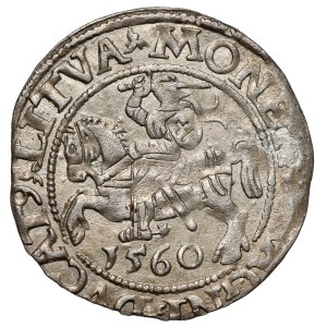 Zygmunt II August, Półgrosz Wilno 1560