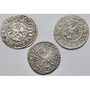 Kazimierz IV Jagiellończyk i Zygmunt I Stary, Półgrosze Kraków - zestaw (3szt)