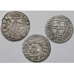 Sigismund III Vasa and Gustav II Adolf, Half-tracks 1615-1632 - set (3pcs)