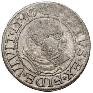 Prussia, Albrecht Hohenzollern, Königsberg penny 1540 - trifold
