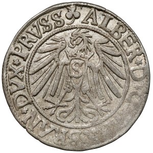 Prussia, Albrecht Hohenzollern, Königsberg penny 1540 - trifold