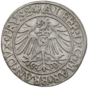 Prusko, Albrecht Hohenzollern, Grosz Königsberg 1537