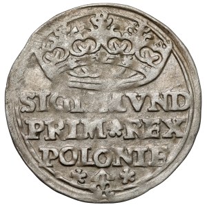 Zygmunt I Stary, Grosz Kraków 1529