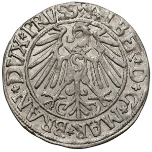 Prussia, Albrecht Hohenzollern, Grosz Königsberg 1546 - Arabic