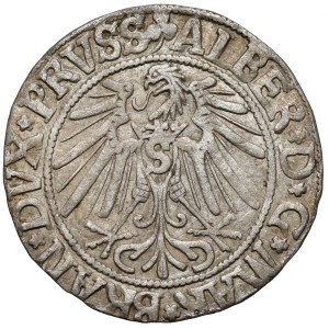 Prussia, Albrecht Hohenzollern, Grosz Königsberg 1543