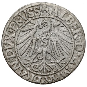 Prussia, Albrecht Hohenzollern, Grosz Königsberg 1543