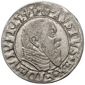Prusko, Albrecht Hohenzollern, Grosz Königsberg 1545