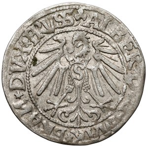 Prusko, Albrecht Hohenzollern, Grosz Königsberg 1545