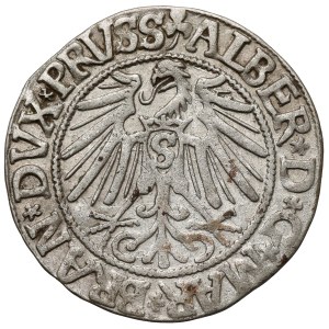 Prussia, Albrecht Hohenzollern, Grosz Königsberg 1543