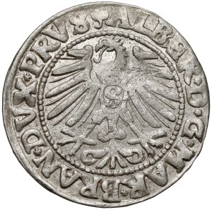 Prusy, Albrecht Hohenzollern, Grosz Królewiec 1547