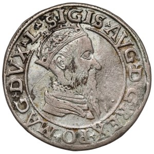 Sigismund II Augustus, Fourfold Vilnius 1567