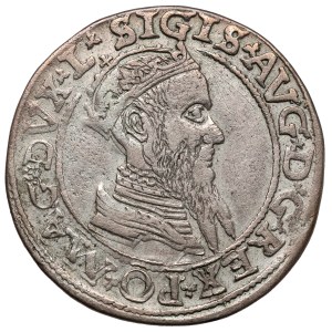 Sigismund II Augustus, Fourfold Vilnius 1565