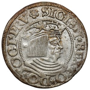 Sigismund I the Old, Grosz Gdańsk 1534