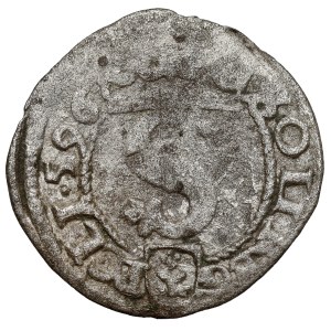 Zygmunt III Waza, Szeląg Wschowa 1596 IF - POLI•596