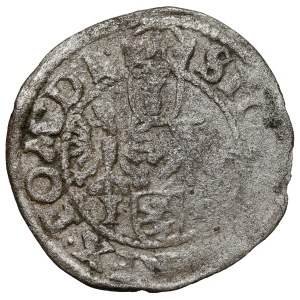 Zygmunt III Waza, Szeląg Wschowa 1596 IF - POLI•596