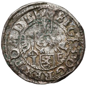 Sigismund III Vasa, Wschowa Shelter 1596 IF - punctuation in date