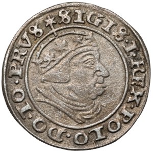 Sigismund I the Old, Grosz Gdańsk 1540