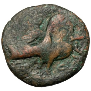 Greece, Skythia, Olbia, AE25 (69-96 AD) - countermarked