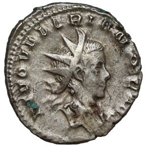 Walerian II (253-257 n.e.) Antoninian pośmiertny, Cologne