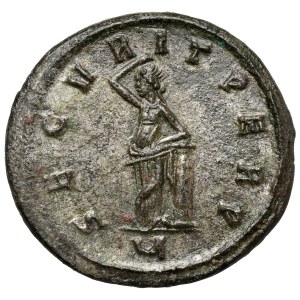 Tacitus (275-276 AD) Antoninian, Ticinum