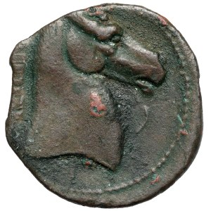 Grecja, Zeugitana, Kartagina (300-264 p.n.e.) AE19